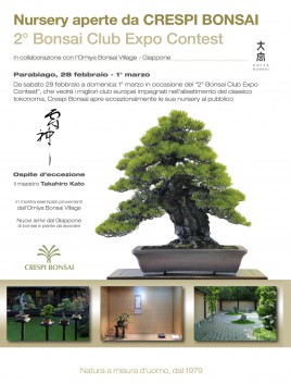 BONSAI_CLUB_EXPO_CONTEST_2015